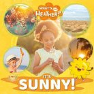 Knjiga It's Sunny! William Anthony