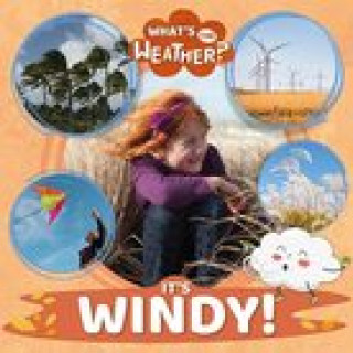 Carte It's Windy! Azra Limbada
