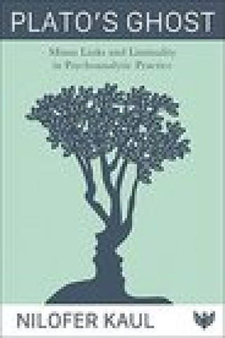 Knjiga Plato's Ghost Nilofer Kaul