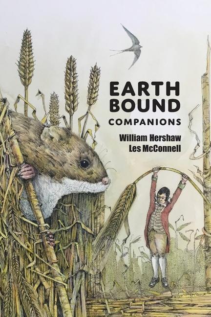 Kniha Earth Bound Companions Les McConnell