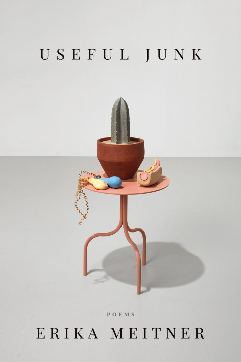 Knjiga Useful Junk Erika Meitner