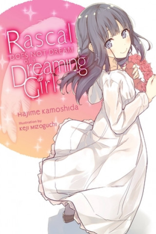 Book Rascal Does Not Dream of a Dreaming Girl (light novel) Hajime Kamoshida