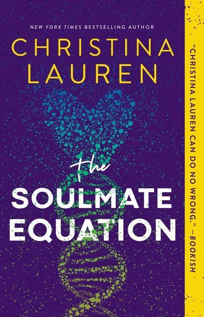 Kniha Soulmate Equation 