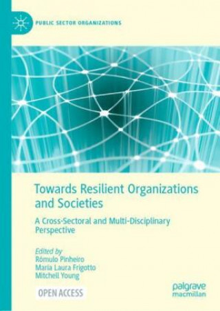 Knjiga Towards Resilient Organizations and Societies Rómulo Pinheiro