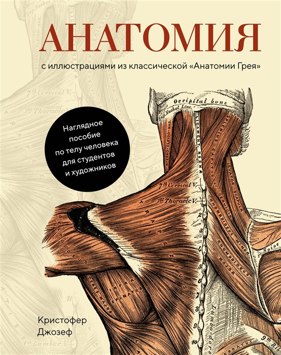 Книга Анатомия (с иллюстрациями из классической "Анатомии Грея") К. Джозеф
