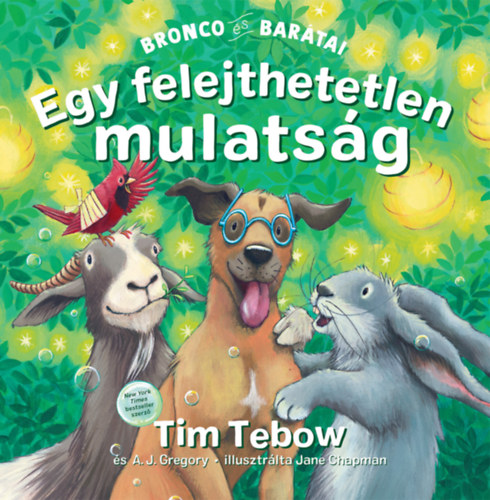 Book Egy felejthetetlen mulatság Tim Tebow