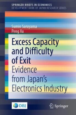 Kniha Excess Capacity and Difficulty of Exit Peng Xu
