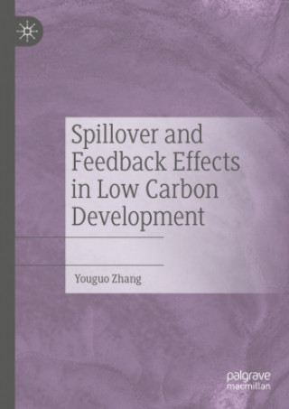 Książka Spillover and Feedback Effects in Low Carbon Development 