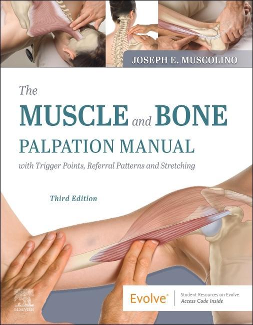 Carte Muscle and Bone Palpation Manual with Trigger Points, Referral Patterns and Stretching Joseph E. Muscolino