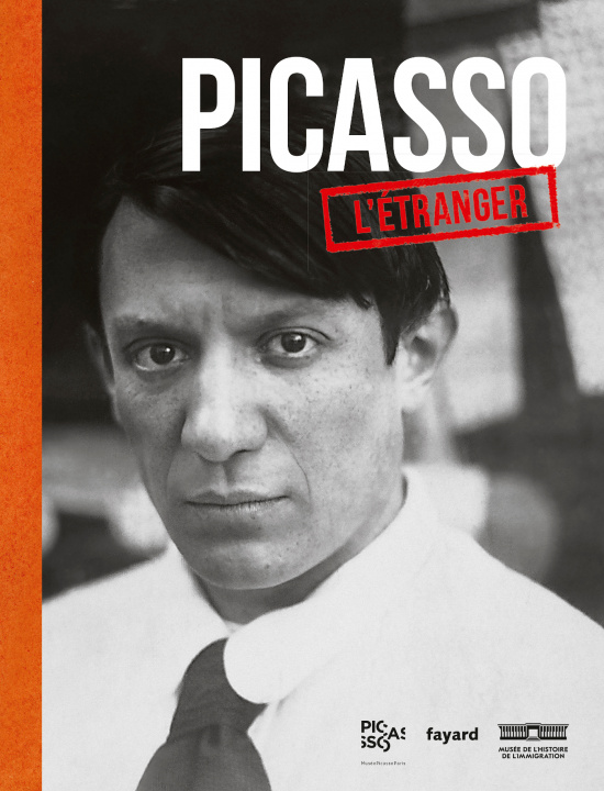 Knjiga Picasso, l'étranger 