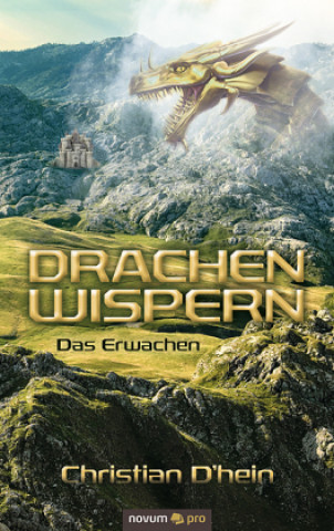 Knjiga Drachenwispern Christian D'hein