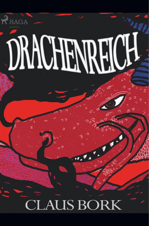 Kniha Drachenreich Susanne Richter
