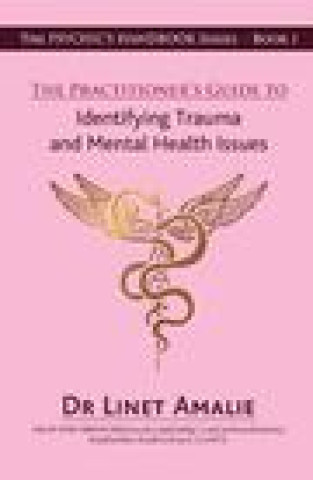 Kniha Practitioner's Guide to Identifying Trauma and Mental Health Issues Linet (Linet Amalie) Amalie