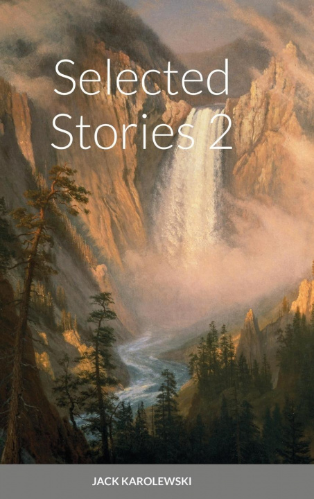 Knjiga Selected Stories 2 Jack Karolewski
