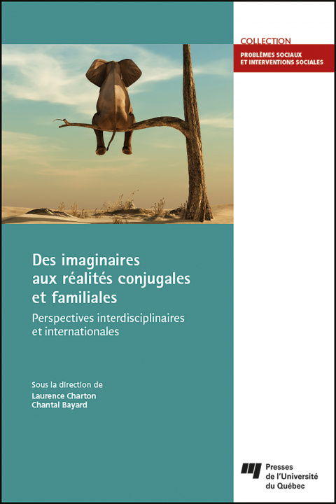 Kniha Des imaginaires aux réalités conjugales et familiales 