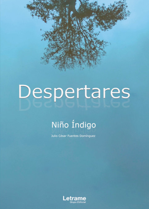 Knjiga Despertares Julio César Fuentes Domínguez