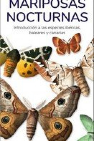 Książka MARIPOSAS NOCTURNAS HERNANDEZ