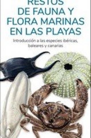 Könyv RESTOS DE FAUNA Y FLORA MARINAS EN LAS PLAYAS HERNANDEZ