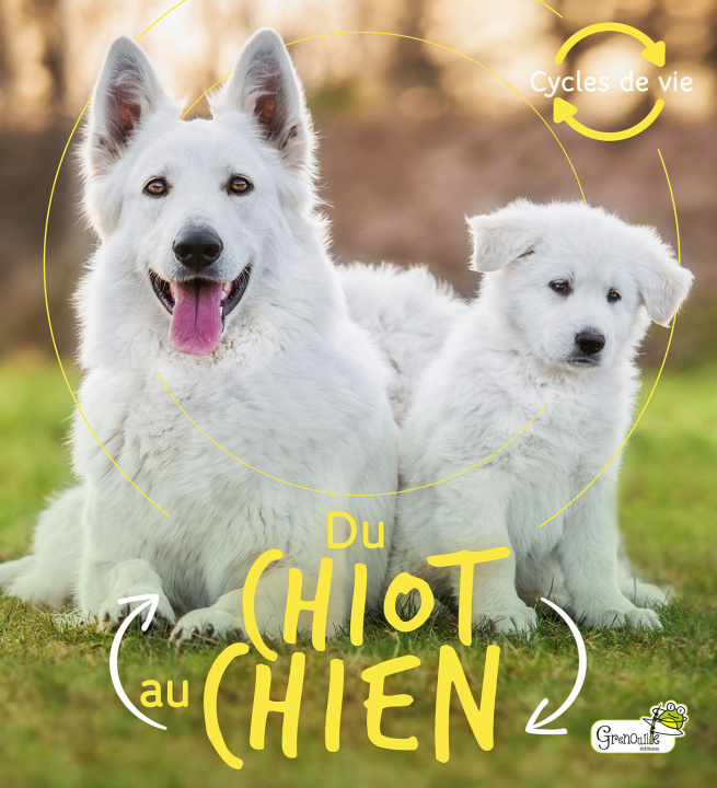 Knjiga Du chiot au chien De la bedoyere ca.