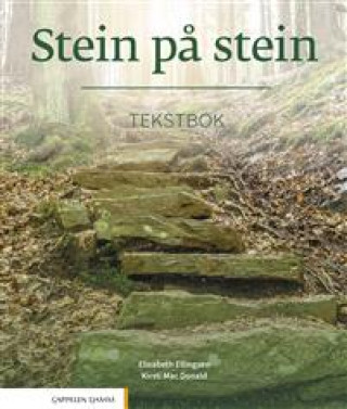 Book Stein på stein. Tekstbok. Level B1 Mac Kirsti