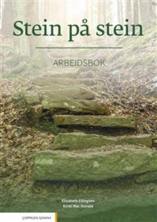 Knjiga Stein på stein. Arbeidsbok. Level B1 Mac Kirsti