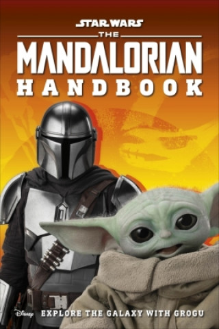 Kniha Star Wars The Mandalorian Handbook DK