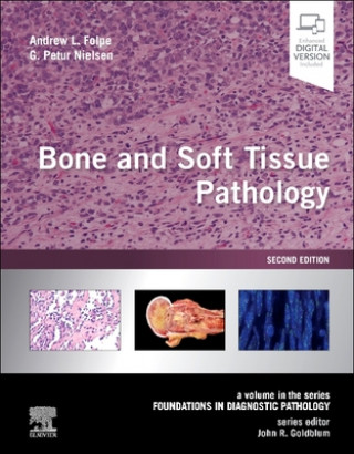 Kniha Bone and Soft Tissue Pathology Andrew L. Folpe