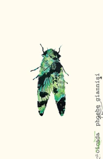 Kniha Cicada Giannisi