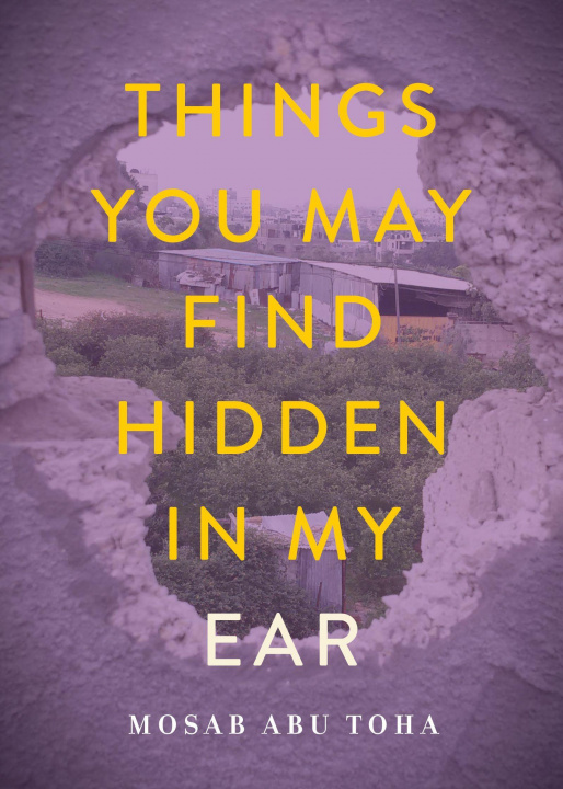 Book Things You May Find Hidden in My Ear 