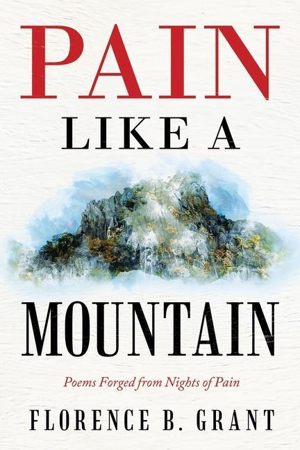 Книга Pain Like a Mountain 