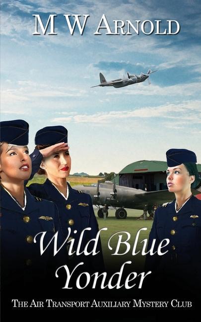 Knjiga Wild Blue Yonder M. W. Arnold