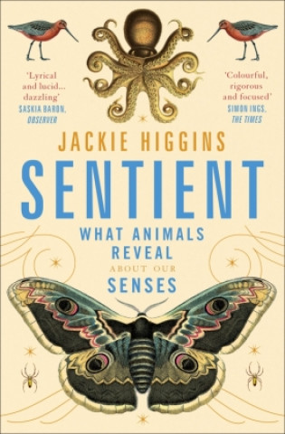 Kniha Sentient HIGGINS  JACKIE