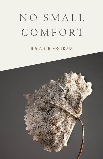 Knjiga No Small Comfort Brian Simoneau