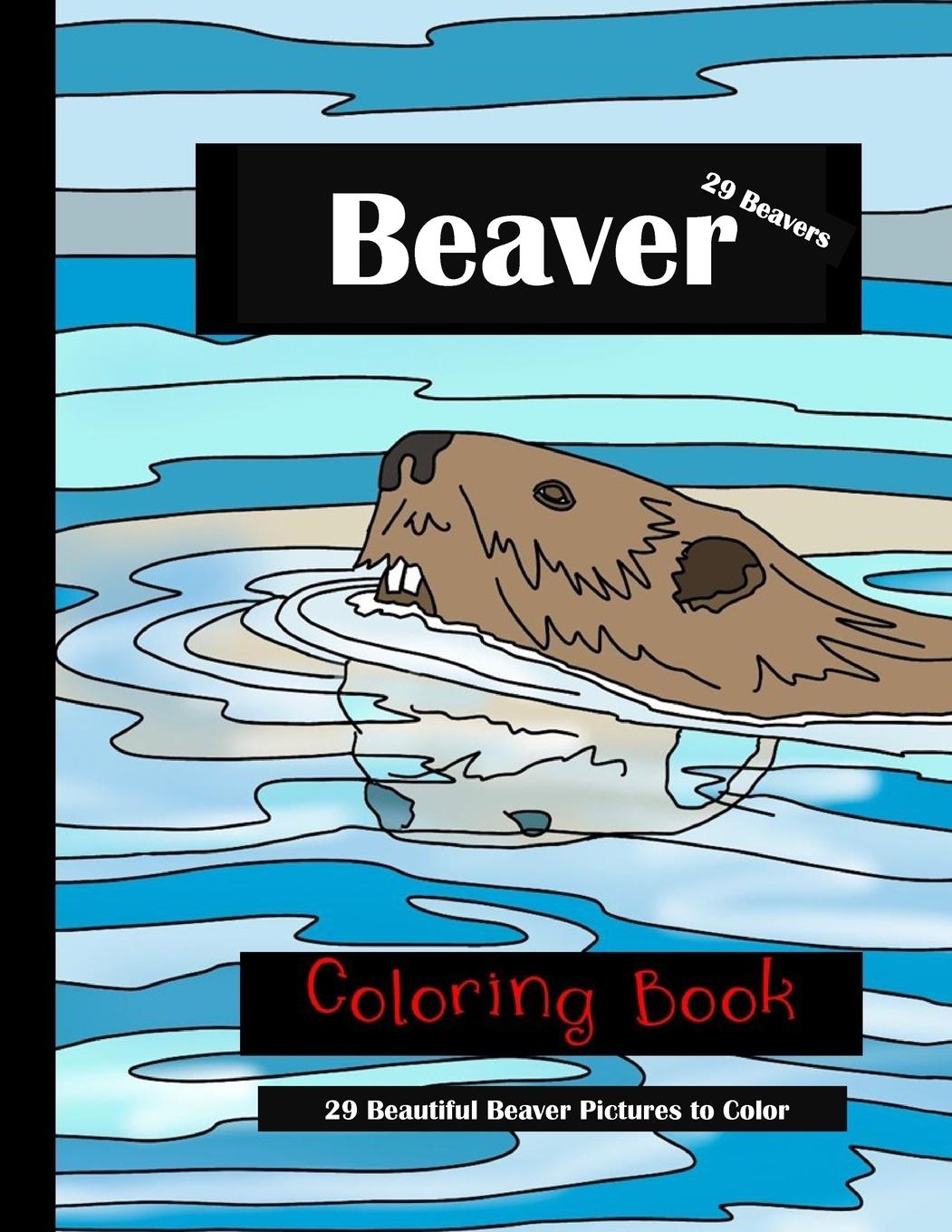 Knjiga Beaver Coloring Book Lachlan Anderson