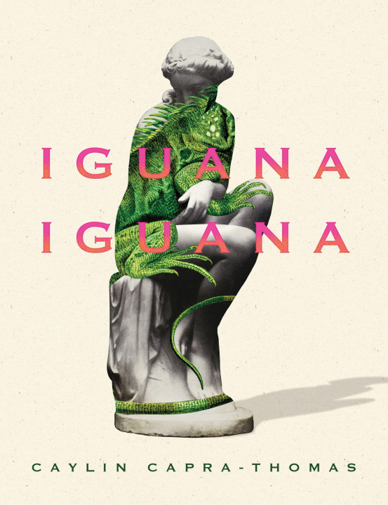 Kniha Iguana Iguana 