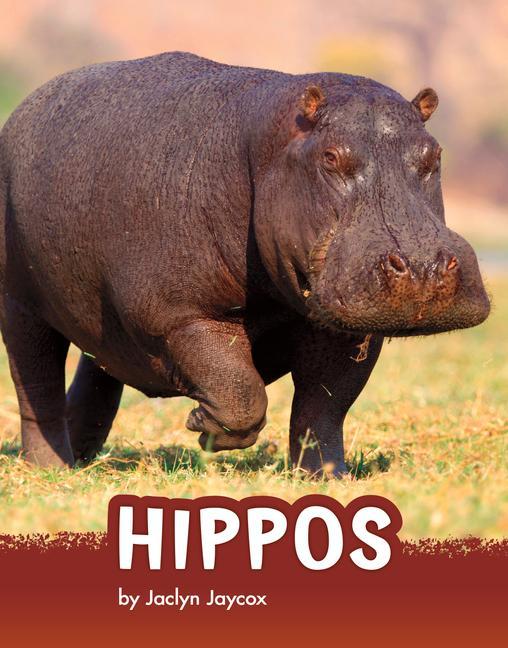 Kniha Hippos 