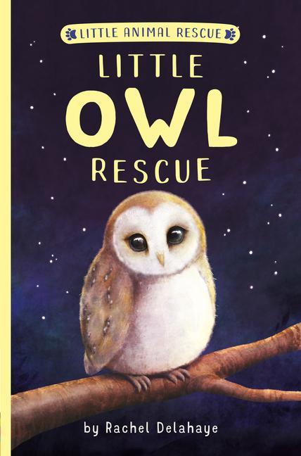 Kniha Little Owl Rescue Suzie Mason