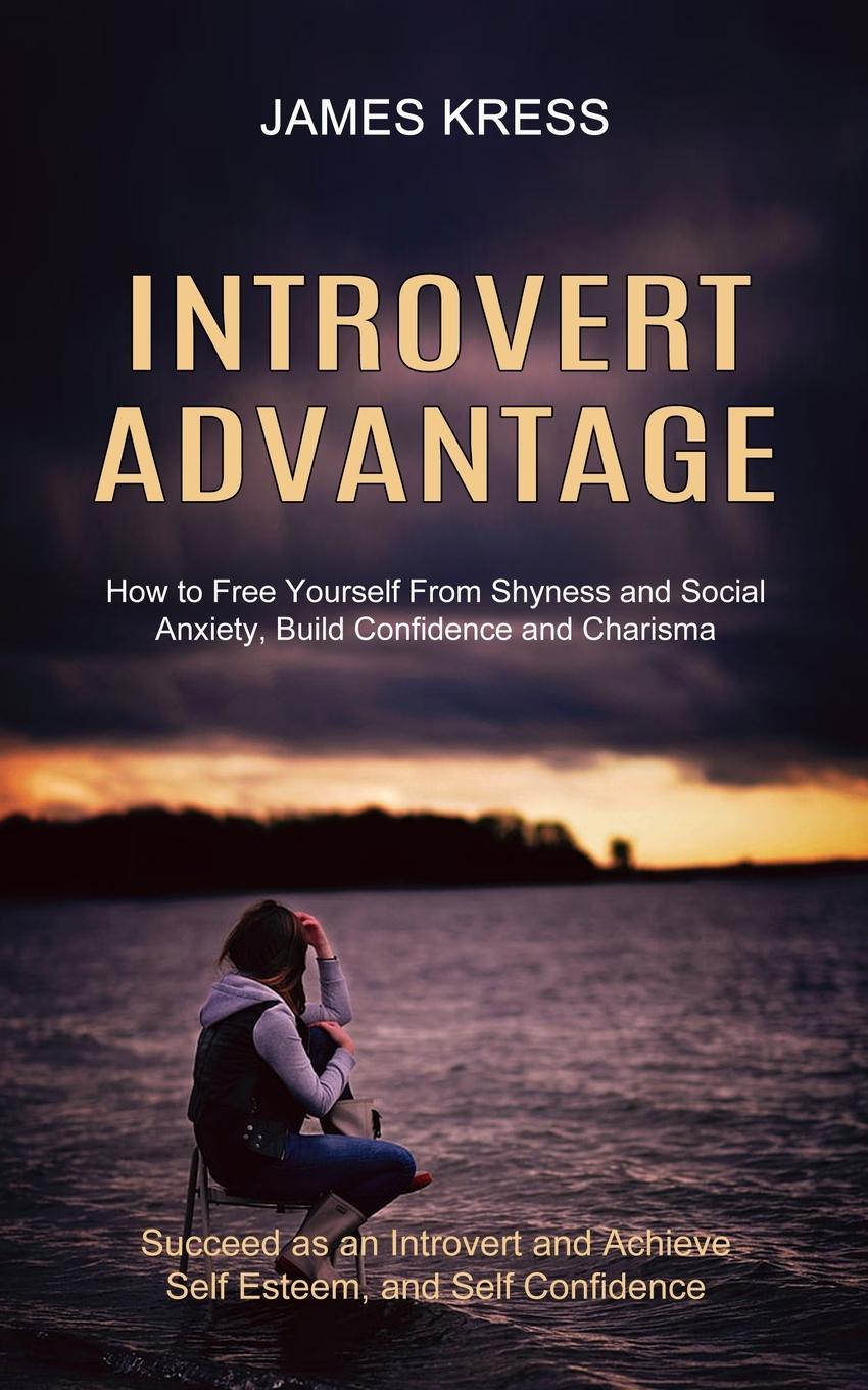 Kniha Introvert advantage 