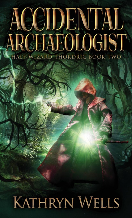 Book Accidental Archaeologist Kathryn Wells