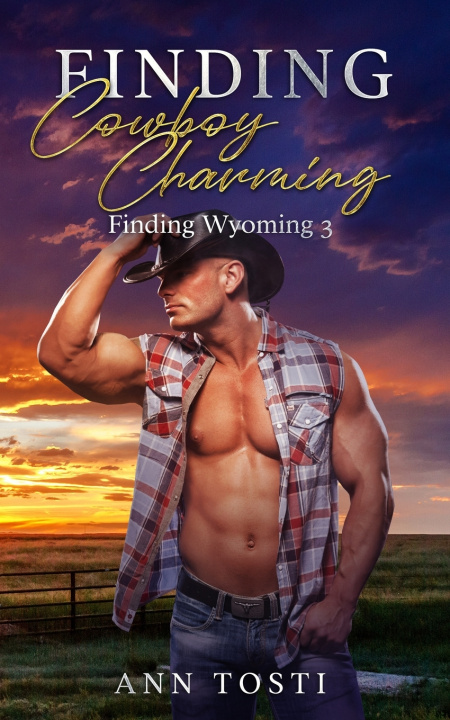 Knjiga Finding Cowboy Charming Tosti Ann Tosti