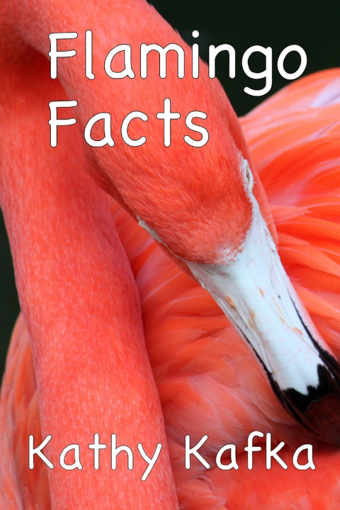 Knjiga Flamingo Facts Kathy Kafka