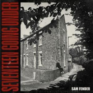 Аудио Sam Fender: Seventeen Going Under 
