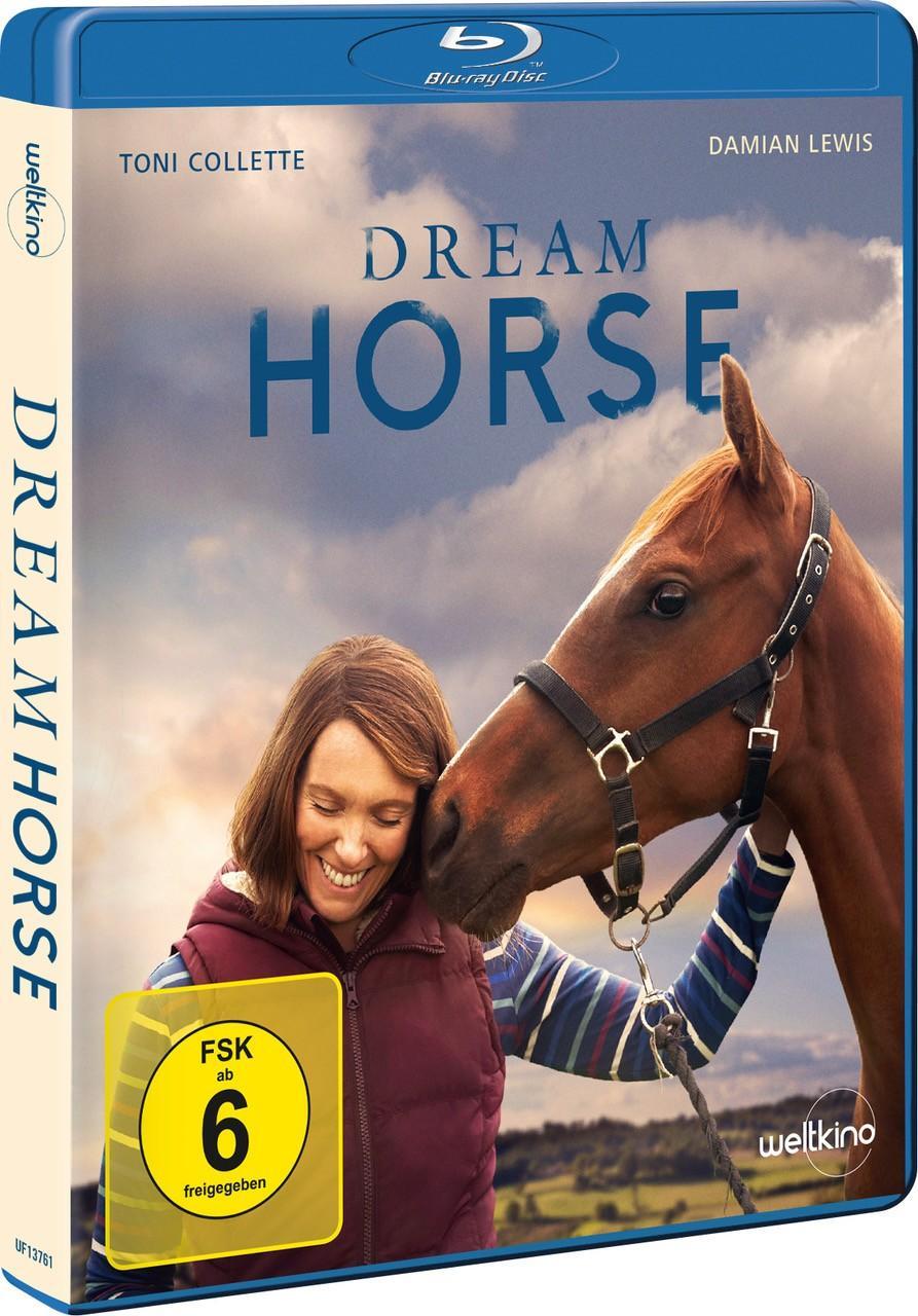 Video Dream Horse Neil McKay