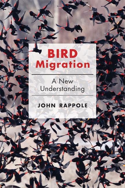 Carte Bird Migration John H. Rappole