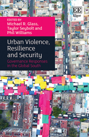 Kniha Urban Violence, Resilience and Security Michael R. Glass