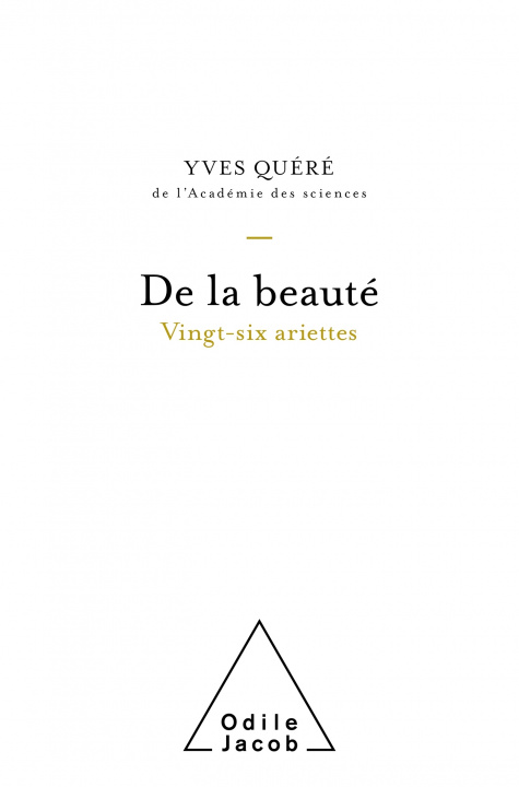 Knjiga De la beauté Yves Quéré