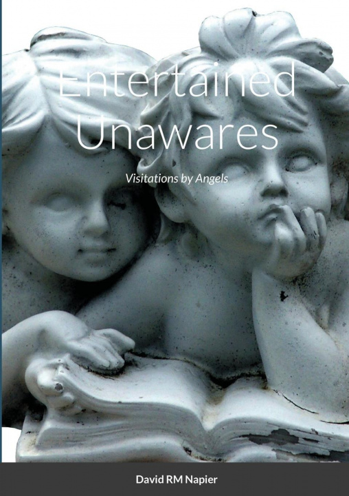 Buch Entertained Unawares David Napier