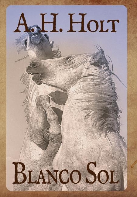 Boek Blanco Sol A. H. Holt