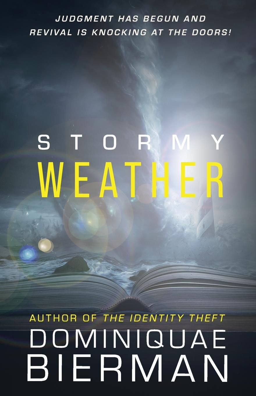Boek Stormy Weather Dominiquae Bierman