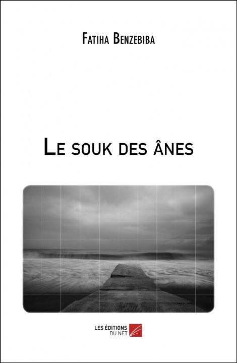 Knjiga Le souk des ânes Benzebiba